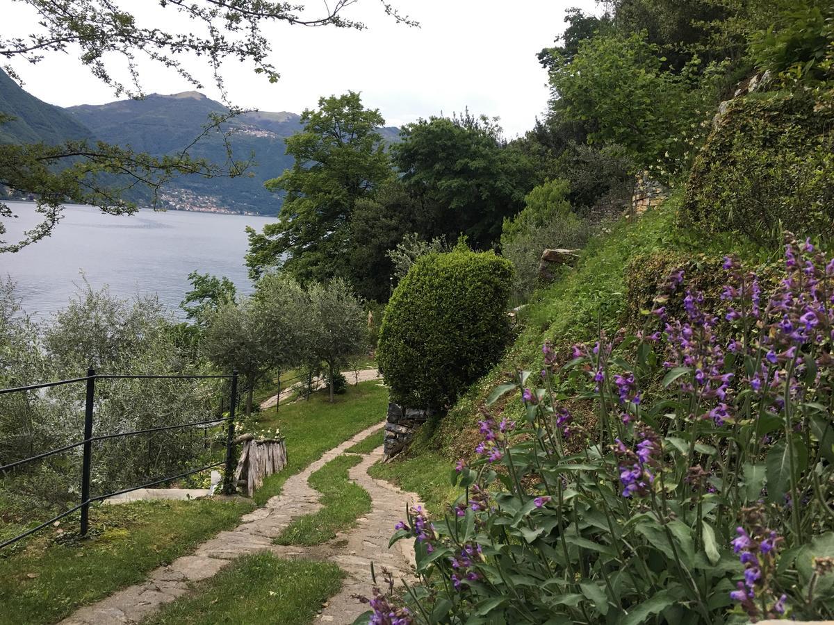 Casa Vacanza Castagna Nesso Eksteriør bilde